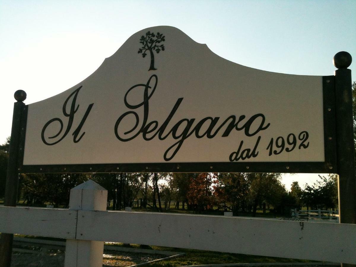 Il Selgaro Agriturismo Hotel Zelarino Buitenkant foto